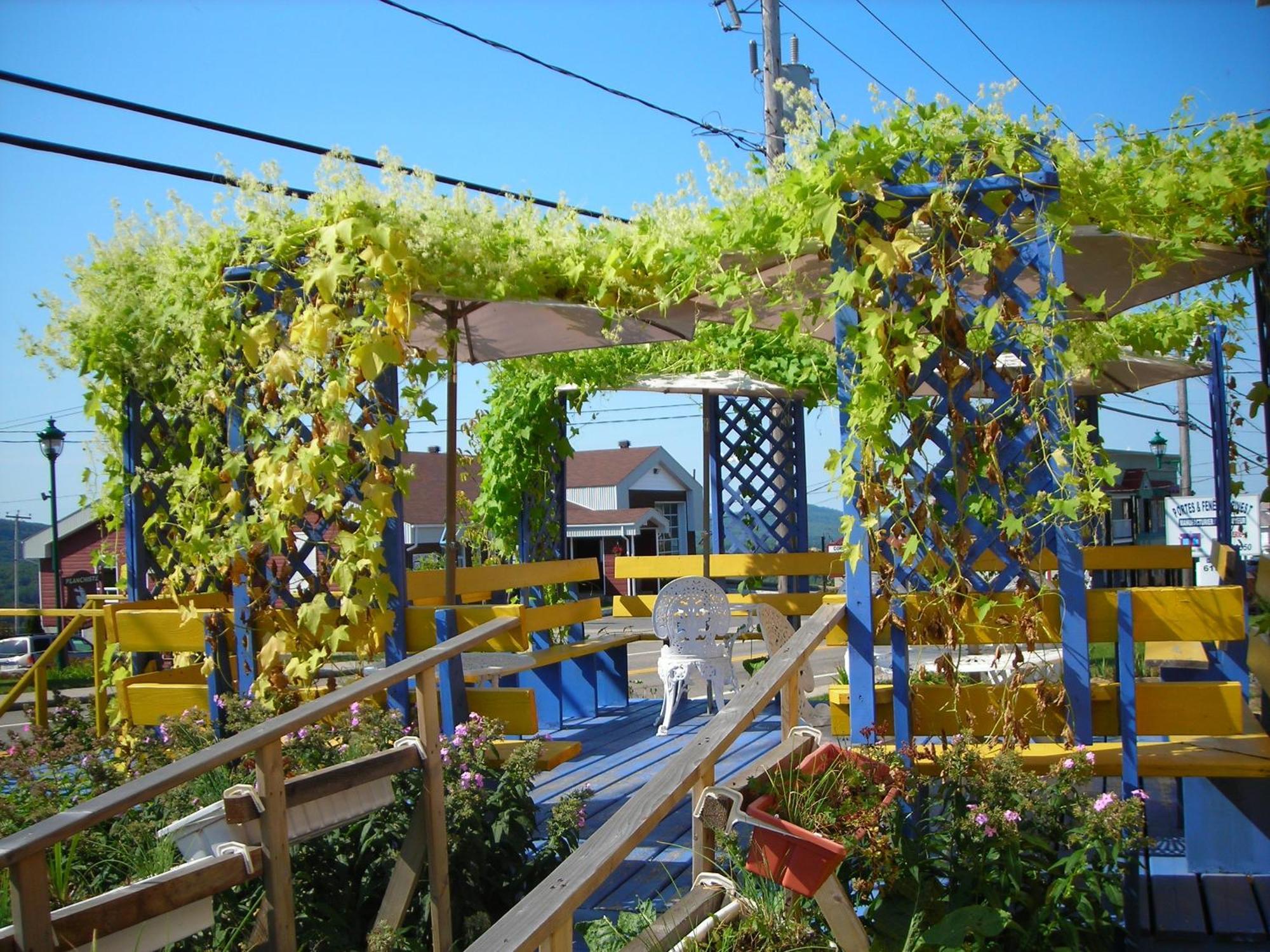 Gite Des Hauteurs Et Cafe De La Place Saint Zenon ภายนอก รูปภาพ